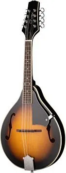 Caraya MA-001-BS Мандолина.