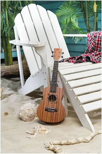 Flight NUC310 Укулеле концерт